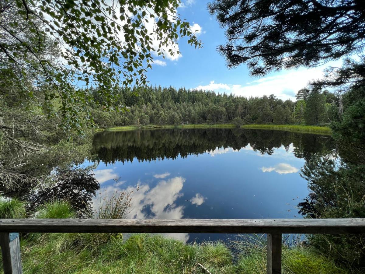 Apartment Annis Panoramablick Pool Sauna Tennis Schonach im Schwarzwald Exterior foto