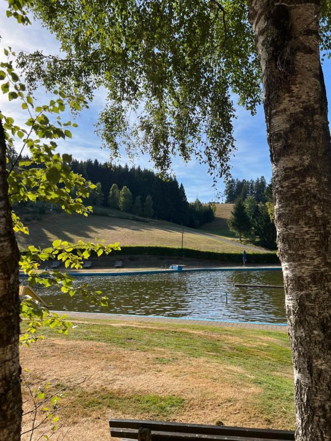 Apartment Annis Panoramablick Pool Sauna Tennis Schonach im Schwarzwald Exterior foto